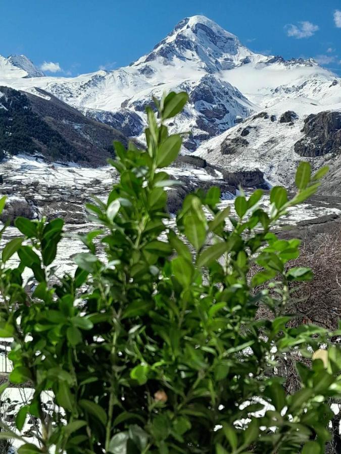 Emotion Kazbegi Apartment Ngoại thất bức ảnh