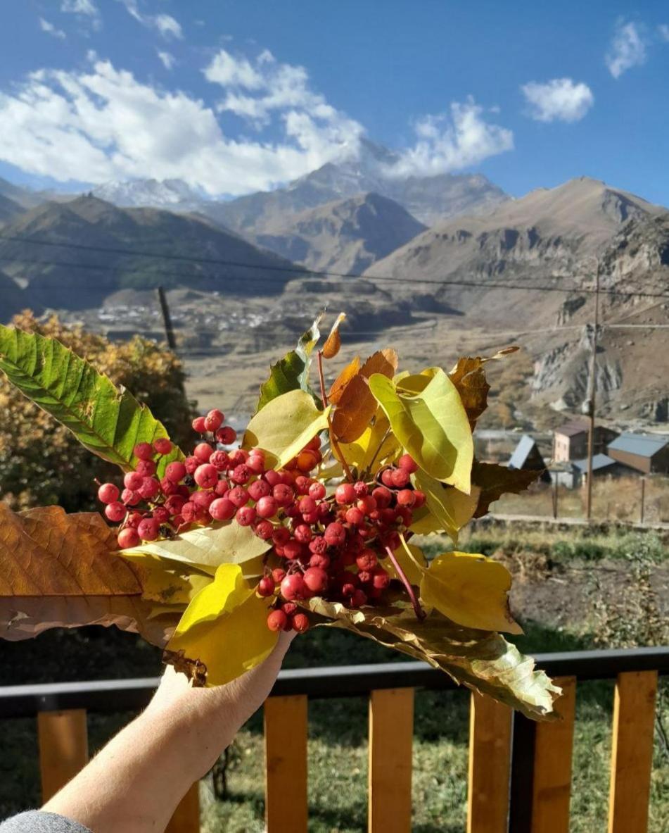 Emotion Kazbegi Apartment Phòng bức ảnh