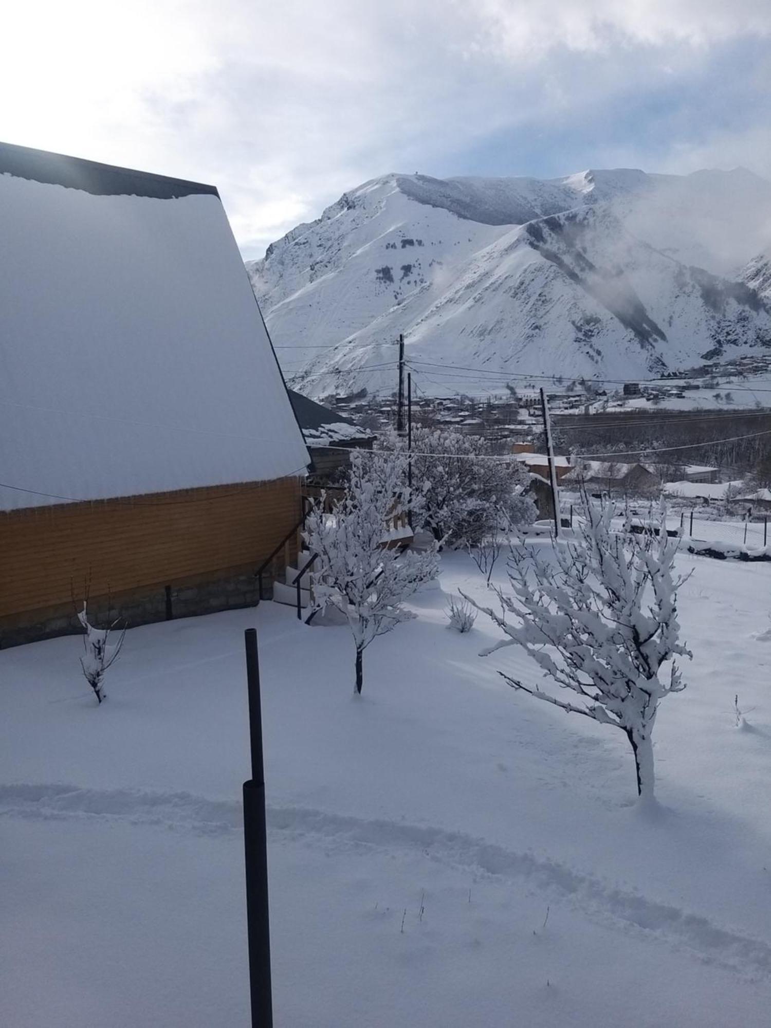 Emotion Kazbegi Apartment Phòng bức ảnh