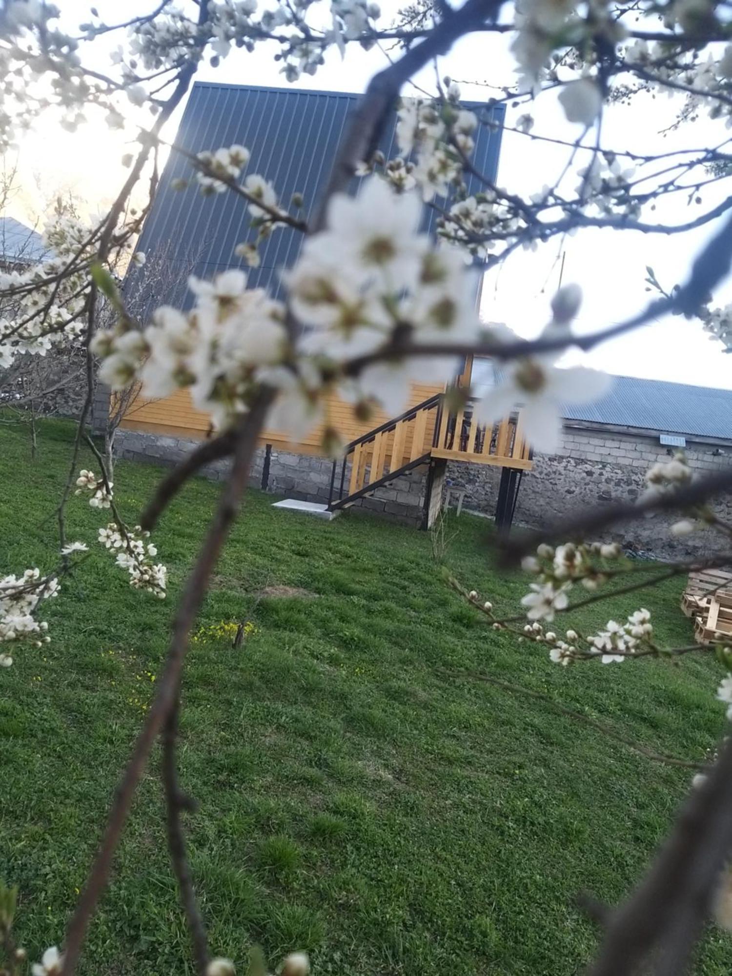 Emotion Kazbegi Apartment Phòng bức ảnh