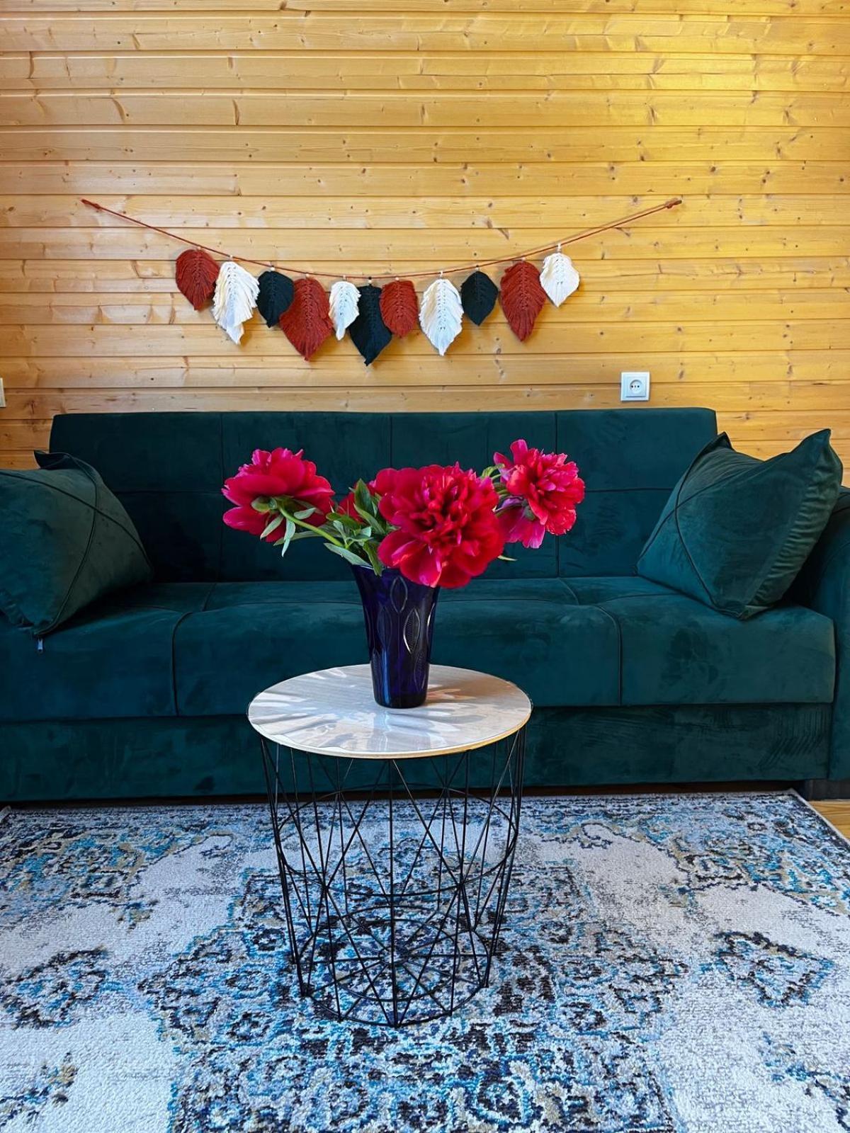 Emotion Kazbegi Apartment Ngoại thất bức ảnh
