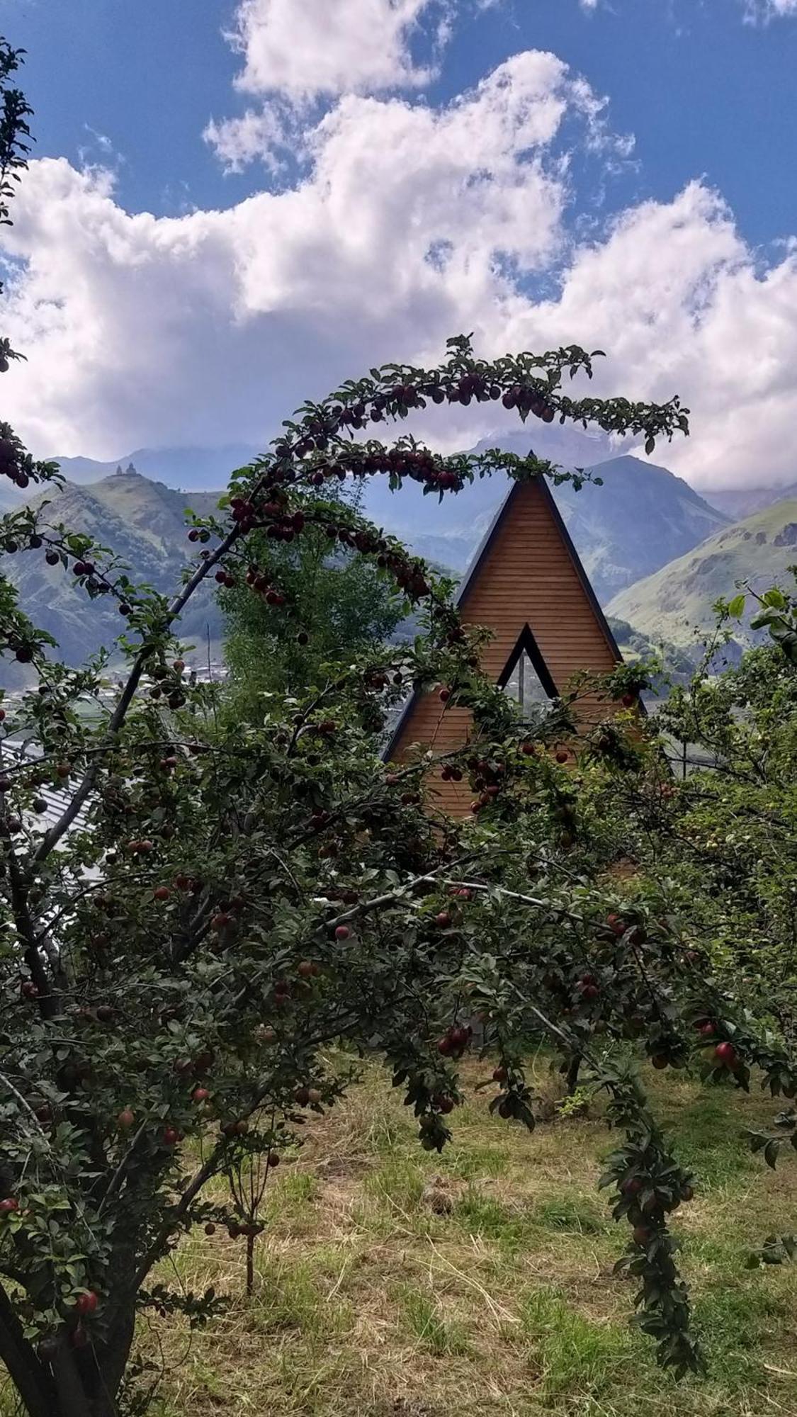 Emotion Kazbegi Apartment Ngoại thất bức ảnh